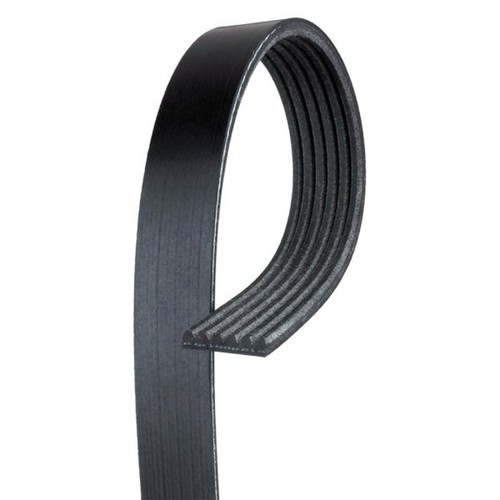 Gates drive belt for caddy - drive,