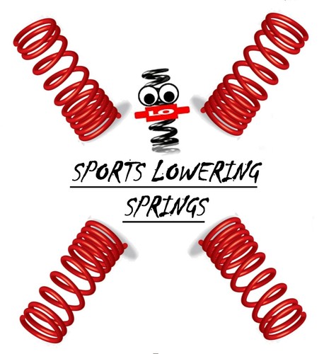 Lowering springs for - lo,