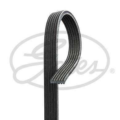 Gates drive belt - gates,