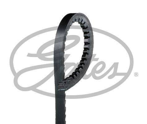 Gates drive belt for - belt,